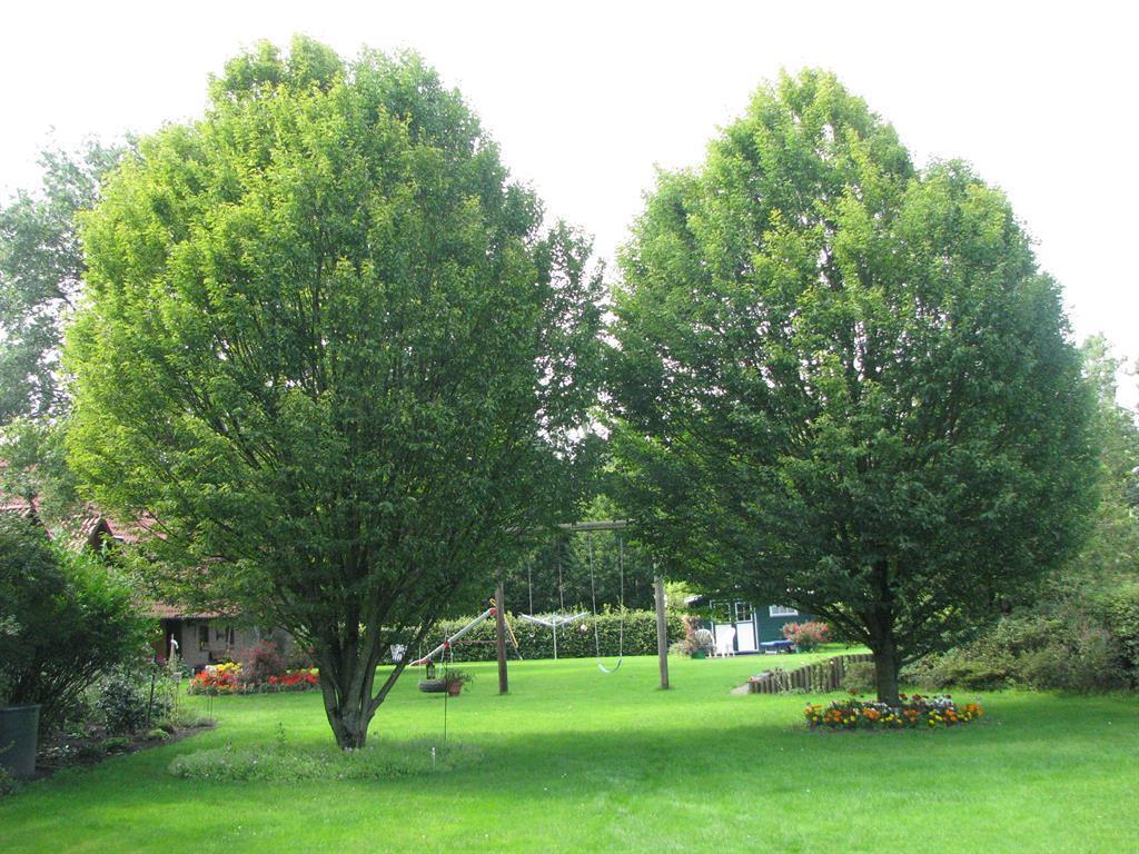 Apartamento Urlaubsdomizil im Grünen Westerstede Exterior foto